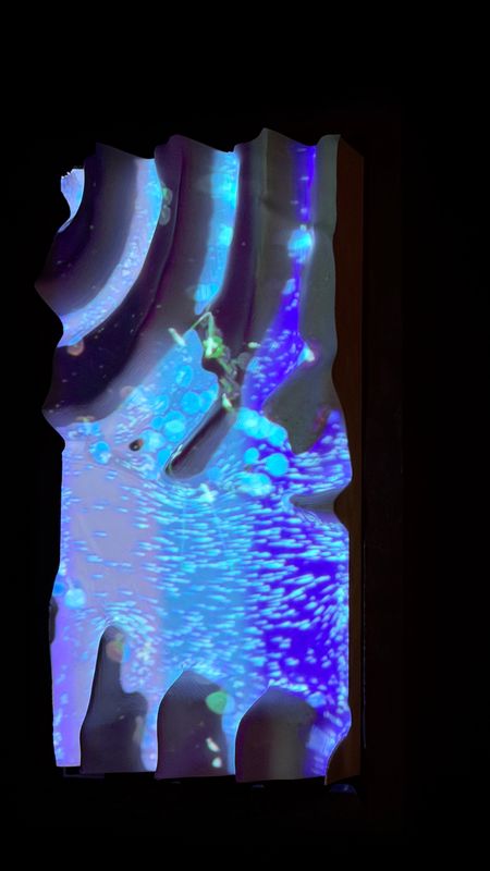 Projection mapping