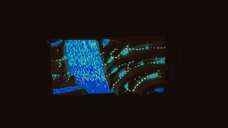 Projection mapping
